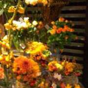 ヒメ日記 2025/01/09 14:56 投稿 ともこ 熟女家 京橋店