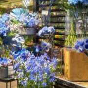 ヒメ日記 2025/01/22 15:26 投稿 ともこ 熟女家 京橋店