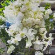 ヒメ日記 2025/04/16 15:46 投稿 ともこ 熟女家 京橋店