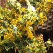 ヒメ日記 2025/06/25 14:39 投稿 ともこ 熟女家 京橋店