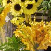 ヒメ日記 2025/06/30 14:56 投稿 ともこ 熟女家 京橋店