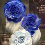 ヒメ日記 2025/07/07 15:06 投稿 ともこ 熟女家 京橋店