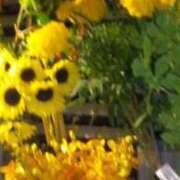 ヒメ日記 2025/07/14 15:26 投稿 ともこ 熟女家 京橋店