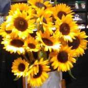 ヒメ日記 2025/07/15 15:06 投稿 ともこ 熟女家 京橋店