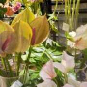 ヒメ日記 2025/07/24 14:56 投稿 ともこ 熟女家 京橋店