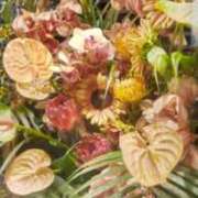 ヒメ日記 2025/07/29 15:26 投稿 ともこ 熟女家 京橋店