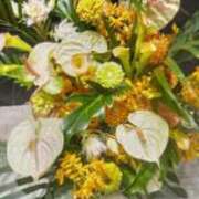 ヒメ日記 2025/07/31 13:19 投稿 ともこ 熟女家 京橋店