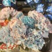 ヒメ日記 2025/08/15 14:46 投稿 ともこ 熟女家 京橋店