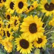 ヒメ日記 2025/08/20 14:56 投稿 ともこ 熟女家 京橋店