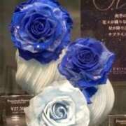 ヒメ日記 2025/08/25 14:36 投稿 ともこ 熟女家 京橋店