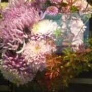 ヒメ日記 2025/09/19 15:26 投稿 ともこ 熟女家 京橋店