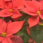 ともこ こんにちは👋😃❄️❗ 熟女家 京橋店