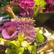 ヒメ日記 2026/01/15 14:06 投稿 ともこ 熟女家 京橋店