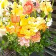 ヒメ日記 2026/01/28 14:35 投稿 ともこ 熟女家 京橋店