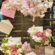 ヒメ日記 2026/02/03 13:46 投稿 ともこ 熟女家 京橋店