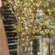 ヒメ日記 2026/03/17 14:26 投稿 ともこ 熟女家 京橋店