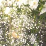 ヒメ日記 2026/04/07 13:53 投稿 ともこ 熟女家 京橋店