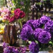 ヒメ日記 2026/04/13 14:46 投稿 ともこ 熟女家 京橋店