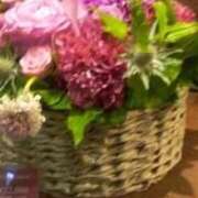 ヒメ日記 2026/04/23 13:46 投稿 ともこ 熟女家 京橋店