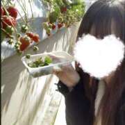 ヒメ日記 2025/04/01 16:20 投稿 相川しほ JKリフレ東京 池袋店