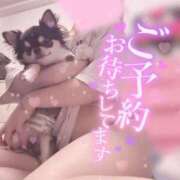 ヒメ日記 2024/12/27 13:59 投稿 あお ポッキリ学園 ～モテモテハーレムごっこ～