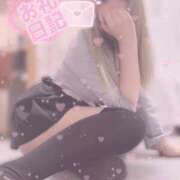 ヒメ日記 2025/04/21 13:41 投稿 あお ポッキリ学園 ～モテモテハーレムごっこ～