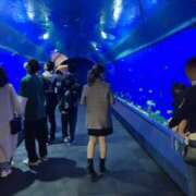 ヒメ日記 2025/07/29 16:15 投稿 アイラ【スタイル超絶抜群】 バニーコレクション 中洲店