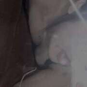 ヒメ日記 2025/12/29 17:58 投稿 アイラ【スタイル超絶抜群】 バニーコレクション 中洲店