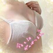 ヒメ日記 2025/04/06 13:24 投稿 らら 沖縄ちゃんこ那覇店