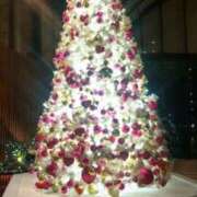 ヒメ日記 2025/12/20 19:27 投稿 中谷 変態美熟女お貸しします。