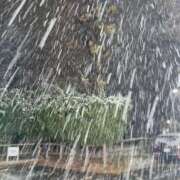 ヒメ日記 2026/01/02 18:37 投稿 中谷 変態美熟女お貸しします。