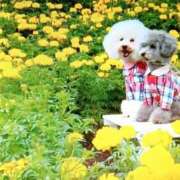 ヒメ日記 2026/01/11 11:57 投稿 中谷 変態美熟女お貸しします。