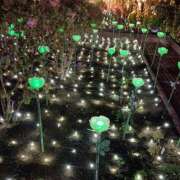 ヒメ日記 2026/01/21 21:07 投稿 中谷 変態美熟女お貸しします。