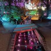 ヒメ日記 2026/01/26 21:27 投稿 中谷 変態美熟女お貸しします。