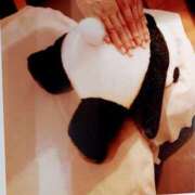 ヒメ日記 2026/02/01 18:47 投稿 中谷 変態美熟女お貸しします。