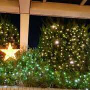 ヒメ日記 2026/02/11 20:07 投稿 中谷 変態美熟女お貸しします。