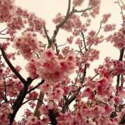 ヒメ日記 2026/03/26 21:57 投稿 中谷 変態美熟女お貸しします。