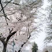 ヒメ日記 2026/03/30 20:07 投稿 中谷 変態美熟女お貸しします。