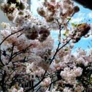 ヒメ日記 2026/03/31 21:37 投稿 中谷 変態美熟女お貸しします。