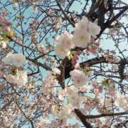 ヒメ日記 2026/04/03 21:47 投稿 中谷 変態美熟女お貸しします。