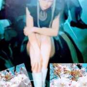 ヒメ日記 2026/04/05 20:37 投稿 中谷 変態美熟女お貸しします。