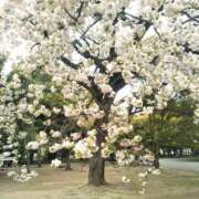 ヒメ日記 2026/04/07 20:07 投稿 中谷 変態美熟女お貸しします。