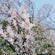 ヒメ日記 2026/04/09 21:17 投稿 中谷 変態美熟女お貸しします。