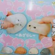 ヒメ日記 2026/04/15 20:07 投稿 中谷 変態美熟女お貸しします。