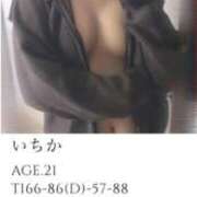 いちか 完売‼️ La vista （ラビスタ）