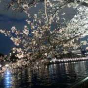 山本 陽葵 本日♡ テレジア大阪