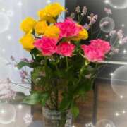 ヒメ日記 2025/11/19 16:38 投稿 中條貴恵 五十路マダム 浜松店(カサブランカグループ)