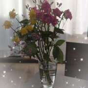 ヒメ日記 2025/11/24 16:04 投稿 中條貴恵 五十路マダム 浜松店(カサブランカグループ)