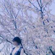 ヒメ日記 2025/04/04 10:14 投稿 かのん たっぷりHoneyoilSPA福岡中洲店