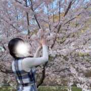 ヒメ日記 2026/03/19 16:14 投稿 かのん たっぷりHoneyoilSPA福岡中洲店